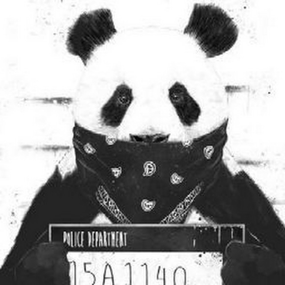 Meet your Posher, Erika - Picture 1 of 1